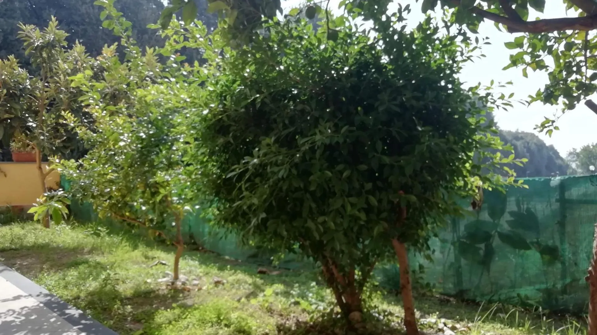 Casa Verde 那不勒斯 0*,  意大利